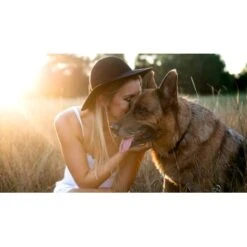 Mammaly Lucky Belly 110g 12 Mammaly Lucky Belly 110g -Tierbedarf Geschäft 5a807df878e131f7784ceaf9042f54c56ded6f60 1472889 6