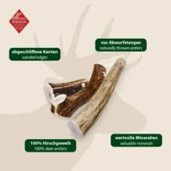 ChronoBalance Geweih Ganz (S) 2er Paket -Tierbedarf Geschäft 5de89258b4b0ec3c6e18d2fb03615decfb7298ea 1418690 de DE 97f6faa2e066481717c6e9970bb381a3824303b82EeAsK