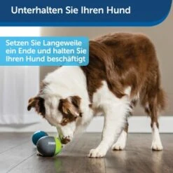 PetSafe Elektronisches Hundespielzeug Ricochet -Tierbedarf Geschäft 5eadda9b8e1c472d17e8160a968897c5f1589a26 1418724 de DE f0080b3bce77c44349e2b70b9453ceaf44e2d3d6nqnVTG