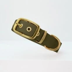 THE DOG IDEA Biothane Halsband Gold Khaki M -Tierbedarf Geschäft 5f39446a1ee14dab16a89a3689929003861983a8 1655419 de DE fdcb084ec6e1b995d3a74426085016a70227a578xTiAJp