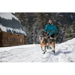 Ruffwear Omnijore™ Joring System L-XL -Tierbedarf Geschäft 606b44d7bd8393842ff5128c769dfb27ee2d7907 1444283 de DE 889f2323c0a4fd9c6c11c90ae5b9f457b9885318j6h9gK