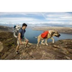 Ruffwear Palisades™ Hunderucksack S -Tierbedarf Geschäft 60c954f30ecabd55f38cc9da656fbb1052cc485b 1444346 de DE 32060bc2f2e11825f314b0e0ab3008d891806557N4p73H