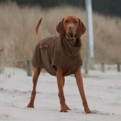 THE DOG IDEA Bademantel Every Braun XXXS -Tierbedarf Geschäft 62c517832f7f923b83b0a0ee681a77b2e33cc3c3 1473036 de DE 2393ef51979dd0191b0261c826741cb7543b7b3brAaZfV