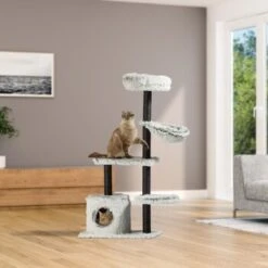 Silvio Design Katzenbaum Lia -Tierbedarf Geschäft 62e2ea4eab6be2aad743828d77dbaf6d3e56a28b f03aa3daf7be6ed3d3a63af9a264290918d6895e