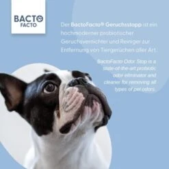 ChronoBalance BactoFacto Probiotischer Geruchsstopp Pads Für 2 Liter 20 Ml -Tierbedarf Geschäft 6515b6e6800e68909a0a5f7e0f816613e8c36542 1397549 de DE 9a466fcf5c88e78df191b07c6d764f4746df49dcxtsIbT