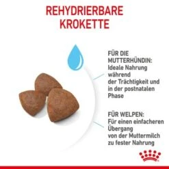 ROYAL CANIN Medium Starter 15 Kg -Tierbedarf Geschäft 6679a3b2bdb7a15a7a249f4fa1a6163b4dfd2e51 f6d1aa2f2e73ece1ddeaaf947b0214ea4e0e5123