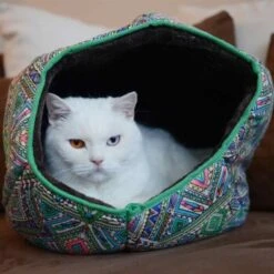 Canadian Cat Company Katzentunnel COSMO M 12 Canadian Cat Company Katzentunnel COSMO M -Tierbedarf Geschäft 67f448259cbca2b76f0f056d6321e3f462cbbfb2 1412665 de DE 5bb2b25340ddb934c05b11da4b3410ce26fcf1f8fEc8B6