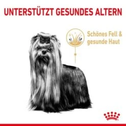 ROYAL CANIN Yorkshire Terrier 8+ Für ältere Hunde 1,5 Kg -Tierbedarf Geschäft 6820f5d1668861335aff838ca8d75b9ceca269c3 0b00c689a5c0f3d962d4b7472621f235a6da7ba2