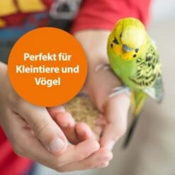 Ardap Milben- Und Zeckenspray Für Nager Und Vögel 100ml -Tierbedarf Geschäft 68a588b27c2bdeb958613c196e70f41522c1ca73 1352522 de DE 1626057c073e83595c48b5e38365b5bb10e0c4acyC8yCA