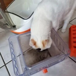 THOMAS Staubsauger -Tierbedarf Geschäft 6a70c632a0bab42059bec4b43d139a5d2e40f9ae 1406733 de DE e7e44b3ec14bf6f4d989c5887e4e07bdd5895c48xakBwm