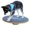 Altranet Fitpaws 20 Wobble Board