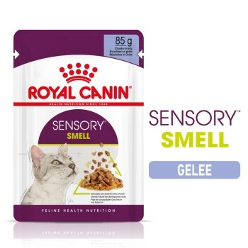 ROYAL CANIN SENSORY Smell In Gelee Für Wählerische Katzen 12x85g 3 ROYAL CANIN SENSORY Smell In Gelee Für Wählerische Katzen 12x85g