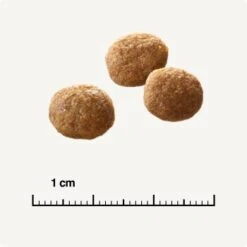 SELECT GOLD Senior +12 Geflügel Mit Reis 3 Kg 12 SELECT GOLD Senior +12 Geflügel Mit Reis 3 Kg -Tierbedarf Geschäft 6db53d99e99530132bf34d8482d69f423780c004 1081823016 de DE 6