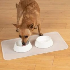 KaraLuna Basic Napfunterlage Transparent S -Tierbedarf Geschäft 6f92b46b9666870298738b4bee75a50ee534fac6 1407499 de DE 14497c23a79b7136237df13f9c32b5ed84fd5ff04vyZgl