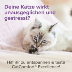 Beaphar CatComfort Excellence Starter-Kit 48ml -Tierbedarf Geschäft 6fdca6f354e1543df4c6d643f7d274cd6651ccda 1416646 1 2