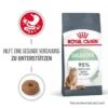 ROYAL CANIN Digestive Care 10 Kg -Tierbedarf Geschäft 6fe24fa1655b1308132cf235eff60a5586463c2b 1084985 0