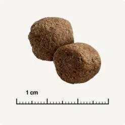 SELECT GOLD Sensitive Maxi Adult Insekt 12kg -Tierbedarf Geschäft 7015603a3156e3029a135cff15a95f9a59c01163 1344001 de DE 6