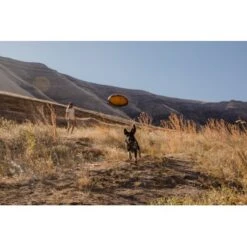 Ruffwear Hover Craft™ Spielzeug Orange -Tierbedarf Geschäft 7111f12b44323f3d6c15a85a889225520ab85f0d 1364297 de DE 664accd36f55b32e3ca302e20a868b09c8c0d85ePbTUSI