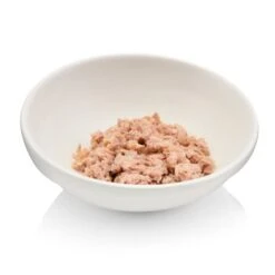 Canadian Cat Company Futterbar Cat Diner -Tierbedarf Geschäft 7374ea0a9e3fe9347681d73e38cfddf88778c4d9 1345694 de DE 736a30d8934edf90c8b01e1b34a29dff5e81dab2o6VK2t