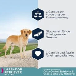 EUKANUBA Breed Specific Labrador Retriever 12 Kg 9 EUKANUBA Breed Specific Labrador Retriever 12 Kg -Tierbedarf Geschäft 7759d7148bcca10f74cbba4e63a8bc8e7586a20c 5eddc324ca4cd16b661e8f0f956a0577e0140b3a