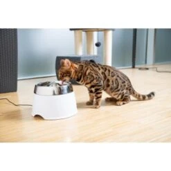 AniOne Edelstahl-Trinkbrunnen Trevi Ohne Ersatzfilter -Tierbedarf Geschäft 7a066af048695bbfaeca0a855e5984fc3bf99d03 689fcf415d486ac05c07f2a4868b1d087d7a9ece