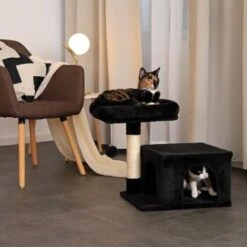 Lionto Kratzbaum 50 Cm Schwarz -Tierbedarf Geschäft 7a4fdb048438d7541c9e09a10efabe693bc4320b 1657017 de DE 254b7c9c0cfdc7971bd88e8e452f13909c8f2c09Qbu3kJ