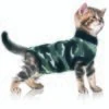 Trovet Katzenbody Recovery Suit XS -Tierbedarf Geschäft 7ad0fffdd76bbebfa8c0171c143c39460980b4a6 a96de6f4538d86c6d97896ea896c78b4dc062293