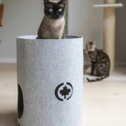 Canadian Cat Company Filzbett Owen-Tower -Tierbedarf Geschäft 7de15b7ab3d0a3da50a54b91f1a6b746b12be302 1394209 de DE 768a45a9be27cfd0fb27e1bf0942b4e67e500c7ee16ity