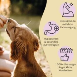 FAVLY Petfood Premium Naturkauartikel Kaninchenohren Mit Fell 360 G -Tierbedarf Geschäft 8093181eb1779b573d4f30ab92a622f254d394bb 1473998 de DE 89e3b1ce19443224c9f34b53e862490cf9c513adOzLPrs