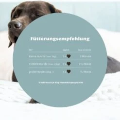 Mammaly Relax Time 110g -Tierbedarf Geschäft 81e9485bda6f1a7347cea08683c88f4642559366 1472888 2