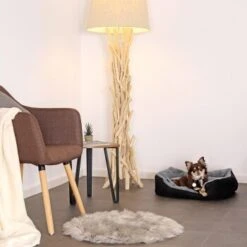 Lionto Hundekissen, Hundebett / Katzenbett Mit Wendekissen Grau/ Schwarz S -Tierbedarf Geschäft 823dc7868190f45cea2c3c69e9102b53416c384a 1642112 de DE f5ac064edf3f1139620b324558b4bbfb2c0800472VwXQ8