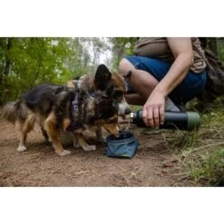 Ruffwear Great Basin™ Napf Schieferblau S -Tierbedarf Geschäft 824b44ccf17c67c3dd43e5523941633c95efed85 1651551 de DE fad827ec7223895423979e3215d64ffaeae47c26HGRUuZ
