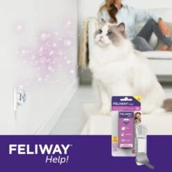 Feliway Help! 3x Nachfüllkartusche Zur Stressreduzierung 16 Feliway Help! 3x Nachfüllkartusche Zur Stressreduzierung -Tierbedarf Geschäft 83d8bd2d632495b4f07a2b518043ffffb0104261 1380137 3
