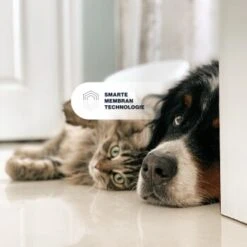 KYVETIN Spray Skin Repair Für Hunde Und Katzen -Tierbedarf Geschäft 851cbfa418e315e47d7ba499ec62be71e3229497 1364195 de DE KyvetinSpray 7