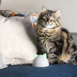 SureFlap Sure Petcare Hub -Tierbedarf Geschäft 852b1bc3a8108075f76c20971c6ccd4d4ae1aeee 64f4b5749fc73b0bad1049a6b67d5e53fa50ba07