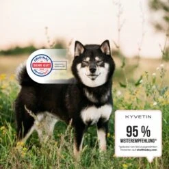 KYVETIN Spray Skin Repair Für Hunde Und Katzen -Tierbedarf Geschäft 855eb3c7fca7c841451cde094ef9ccbea4bfbca8 1364195 de DE KyvetinSpray 5