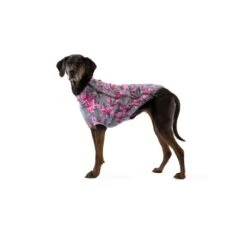 Ruffwear Climate Changer™ Fleece-Jacke Für Hunde Andere M 12 Ruffwear Climate Changer™ Fleece-Jacke Für Hunde Andere M -Tierbedarf Geschäft 86e7c61fbb59c42e6a9952c35792683bfe925ee1 1369650 de DE 0f7eaefedef9dc647cc2252d60c10845d7c68c4e7jOb8s