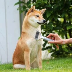 Schlitzohr Unterfellbürste Cookie 16 Schlitzohr Unterfellbürste Cookie -Tierbedarf Geschäft 8a282a966ab4bc47cbd028495077fe9505bb8eff 1484683 de DE f9a0182d0c3e6b7b158dd177c8fb6ca9048996c68U5RR2