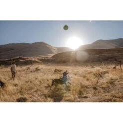 Ruffwear Hover Craft™ Spielzeug Orange -Tierbedarf Geschäft 8b74389fdbc592fa493fa8449b24cad477f71e65 1364297 de DE d7bfcddc5967d79946d8e13f648d6053d56005c9XiBl8J