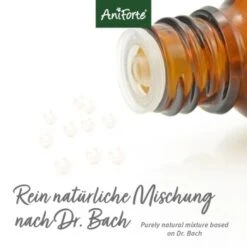 Aniforte Bachblüten Wohlfühl -Tierbedarf Geschäft 8bc2185825b8d46f8f1cec8a2efc06bd21fe66aa 1480464 de DE bb917812d09fa080e606ea64d9276d9a5643f01aWwYvvv