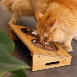 Lionto Futterstation Mit Bambusgestell -Tierbedarf Geschäft 8c56991d507e18b3df4a2f4045dbd93cd3bd9353 1665980 de DE aa6482f6e46fc6375e62da8010ac0599c0ca4960aJFeP6