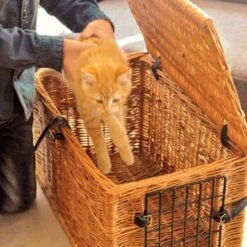 Aumüller Katzenhöhle Eckig -Tierbedarf Geschäft 8d87b362ac9438a292739b68c12353b34ae9f49f 1d1df7833ded5af56aedf174929409f94e84fa5b