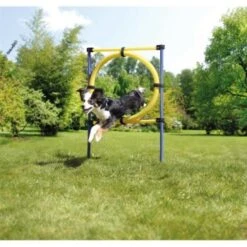 AniOne Agility Set -Tierbedarf Geschäft 8dd2c346cfba9b57b3f14270694b3f975d0558fa 8ae19109d8863c833405d8d5b2e72b4315e858f5