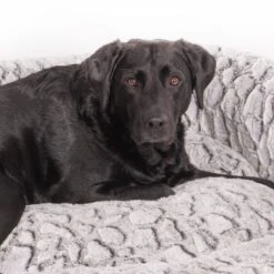 Wallace & Jones Hundebett Cordo-Heaven S -Tierbedarf Geschäft 8e084c327395b4ef79d8940f974ebd23a64309b7 1449008 de DE 044a9bd4bcc4f828504886aa452126d570985afe10T69n