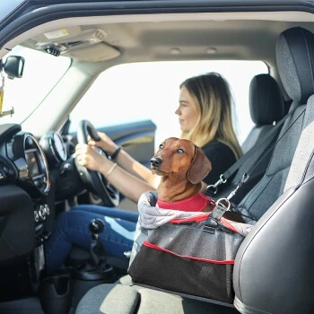 KONG Autositz Booster 8 KONG Autositz Booster – Bild 6