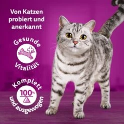 Whiskas Tasty Mix Multipack Chef's Choice In Sauce 40 X 85g -Tierbedarf Geschäft 90c69f8b60998b1e42a320aa3c632d7b173d2464 1410720 de DE Whiskas 7