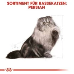 ROYAL CANIN Persian Adult 10 Kg -Tierbedarf Geschäft 9165cac29a72299b97dae8a447d82fe7420a785a d15d6f63a0146aa9aad91fbc1d1013d7e48a8bed