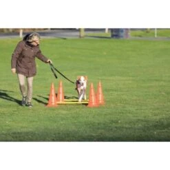 Trixie Dog Activity Hindernisse Ø30x50cm -Tierbedarf Geschäft 91cbc45b90b8a0cfe868659f3dcf31f8aff28e6a 1287033 de DE Trixie Hindernisse wb 2