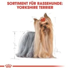 ROYAL CANIN Yorkshire Terrier Adult Mousse 12x85g -Tierbedarf Geschäft 925898144cf2bb8a58b7c3518254fe227b1fce85 8389954ce74aadd051633ec8c92f37ad78e8a690