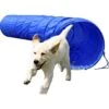 Dobar Agility Tunnel, 60 X 500 Cm -Tierbedarf Geschäft 9317891c8c26e1a60f69c909139b6f64f81acffc a9b8aeeca69e52c8a2789d216e0e38b4afddf736